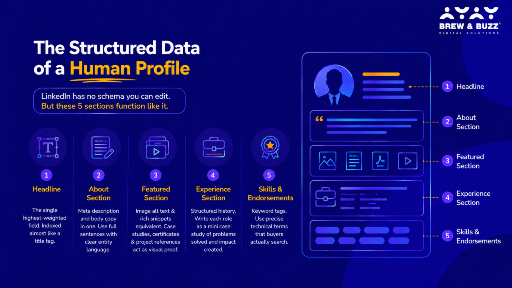 the structural data linkedin profile 
